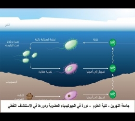 مكتب القناة الجامعية - جامعة النهرين - كلية العلوم - دورة في الجيوكيمياء العضويية ودورها في الاستكشاف النفطي